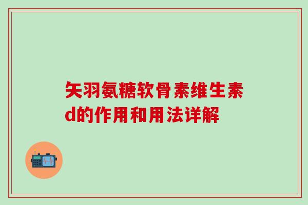 矢羽氨糖软骨素维生素d的作用和用法详解