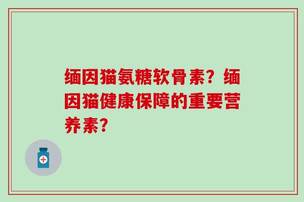 缅因猫氨糖软骨素?缅因猫健康保障的重要营养素? 缅因猫氨糖软骨素?缅因猫健康保障的重要营养素?