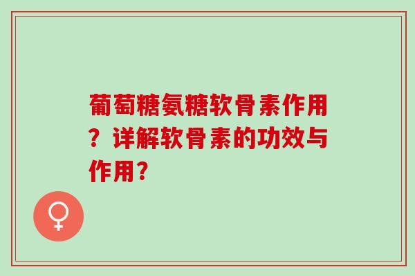 葡萄糖氨糖软骨素作用？详解软骨素的功效与作用？