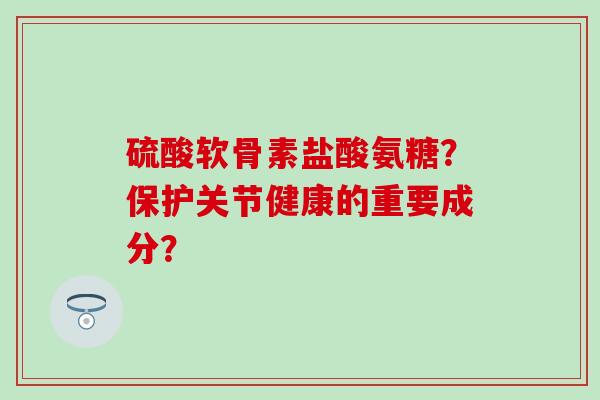 硫酸软骨素盐酸氨糖？保护关节健康的重要成分？
