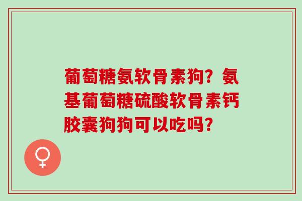 葡萄糖氨软骨素狗？氨基葡萄糖硫酸软骨素钙胶囊狗狗可以吃吗？