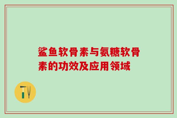 鲨鱼软骨素与氨糖软骨素的功效及应用领域