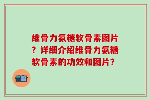 维骨力氨糖软骨素图片？详细介绍维骨力氨糖软骨素的功效和图片？