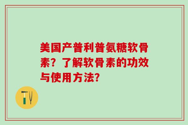 美国产普利普氨糖软骨素？了解软骨素的功效与使用方法？