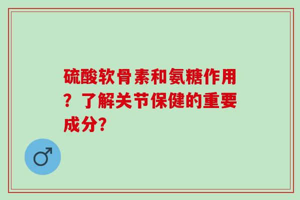 硫酸软骨素和氨糖作用？了解关节保健的重要成分？