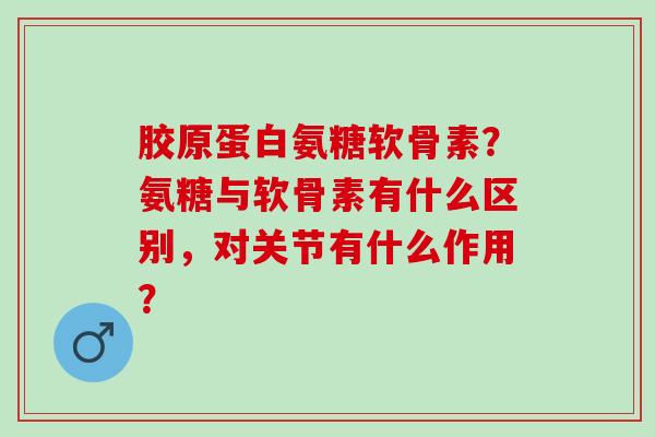 胶原蛋白氨糖软骨素？氨糖与软骨素有什么区别，对关节有什么作用？