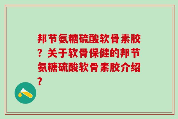 邦节氨糖硫酸软骨素胶?关于软骨保健的邦节氨糖硫酸软骨素胶介绍? 邦节氨糖硫酸软骨素胶?关于软骨保健的邦节氨糖硫酸软骨素胶介绍?