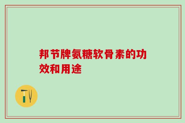 邦节牌氨糖软骨素的功效和用途