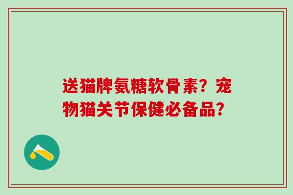 送猫牌氨糖软骨素？宠物猫关节保健必备品？