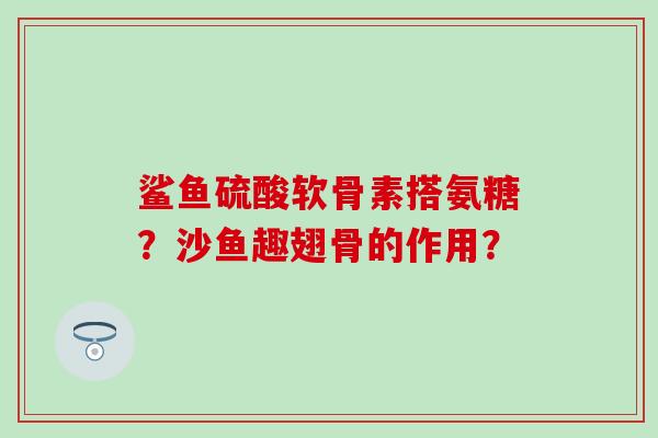 鲨鱼硫酸软骨素搭氨糖？沙鱼趣翅骨的作用？