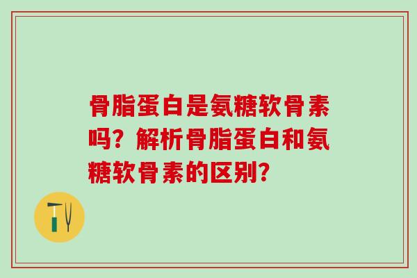 骨脂蛋白是氨糖软骨素吗？解析骨脂蛋白和氨糖软骨素的区别？