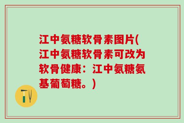 江中氨糖软骨素图片(江中氨糖软骨素可改为软骨健康：江中氨糖氨基葡萄糖。)