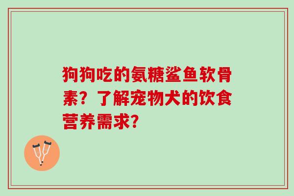 狗狗吃的氨糖鲨鱼软骨素？了解宠物犬的饮食营养需求？