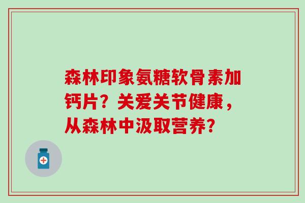 森林印象氨糖软骨素加钙片?关爱关节健康,从森林中汲取营养? 森林印象氨糖软骨素加钙片?关爱关节健康,从森林中汲取营养?
