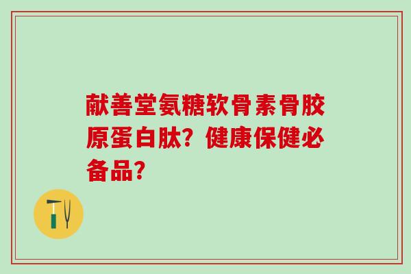 献善堂氨糖软骨素骨胶原蛋白肽？健康保健必备品？