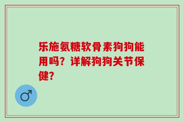 乐施氨糖软骨素狗狗能用吗？详解狗狗关节保健？