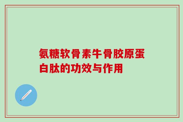 氨糖软骨素牛骨胶原蛋白肽的功效与作用