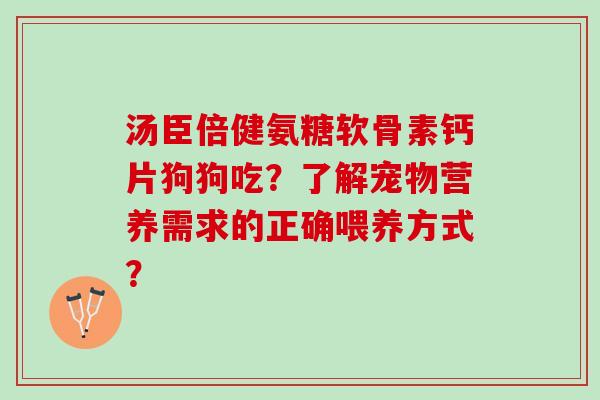 汤臣倍健氨糖软骨素钙片狗狗吃？了解宠物营养需求的正确喂养方式？