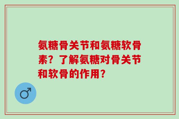 氨糖骨关节和氨糖软骨素?了解氨糖对骨关节和软骨的作用? 氨糖骨关节和氨糖软骨素?了解氨糖对骨关节和软骨的作用?