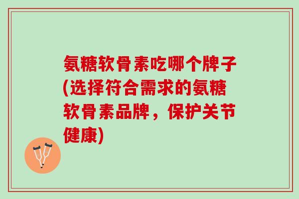 氨糖软骨素吃哪个牌子(选择符合需求的氨糖软骨素品牌，保护关节健康)