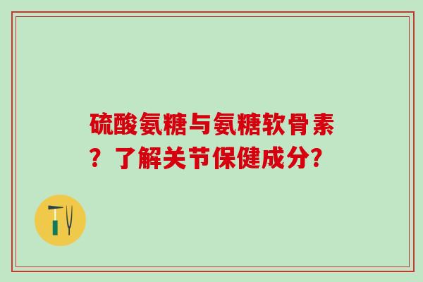 硫酸氨糖与氨糖软骨素？了解关节保健成分？