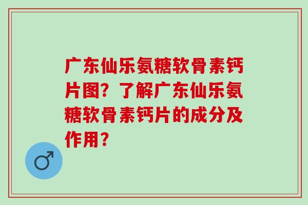 广东仙乐氨糖软骨素钙片图？了解广东仙乐氨糖软骨素钙片的成分及作用？