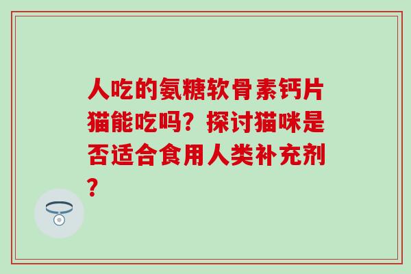 人吃的氨糖软骨素钙片猫能吃吗？探讨猫咪是否适合食用人类补充剂？