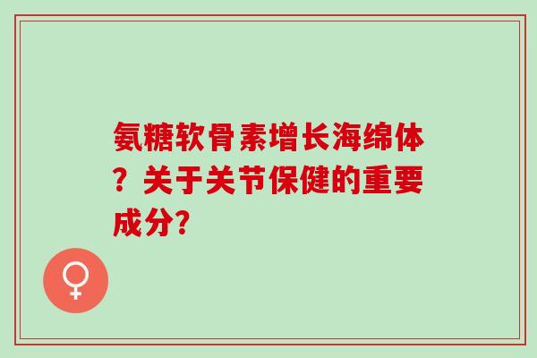 氨糖软骨素增长海绵体？关于关节保健的重要成分？