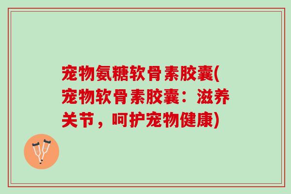 宠物氨糖软骨素胶囊(宠物软骨素胶囊：滋养关节，呵护宠物健康)
