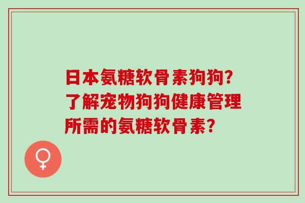 日本氨糖软骨素狗狗？了解宠物狗狗健康管理所需的氨糖软骨素？
