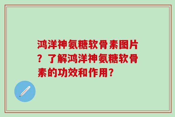 鸿洋神氨糖软骨素图片？了解鸿洋神氨糖软骨素的功效和作用？