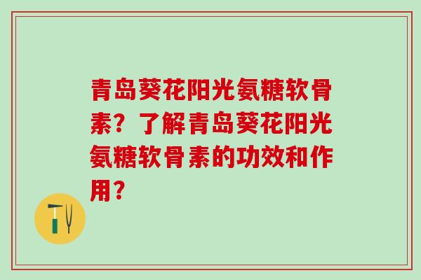 青岛葵花阳光氨糖软骨素？了解青岛葵花阳光氨糖软骨素的功效和作用？