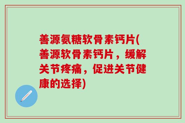 善源氨糖软骨素钙片(善源软骨素钙片，缓解关节疼痛，促进关节健康的选择)