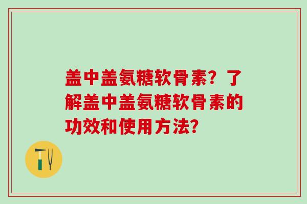 盖中盖氨糖软骨素？了解盖中盖氨糖软骨素的功效和使用方法？