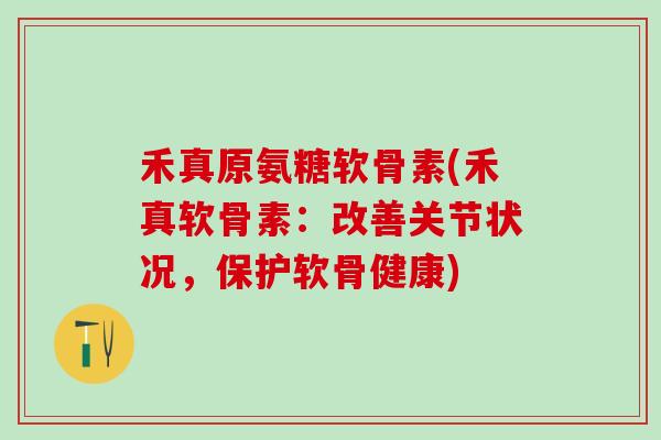 禾真原氨糖软骨素(禾真软骨素：改善关节状况，保护软骨健康)