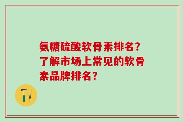 氨糖硫酸软骨素排名？了解市场上常见的软骨素品牌排名？
