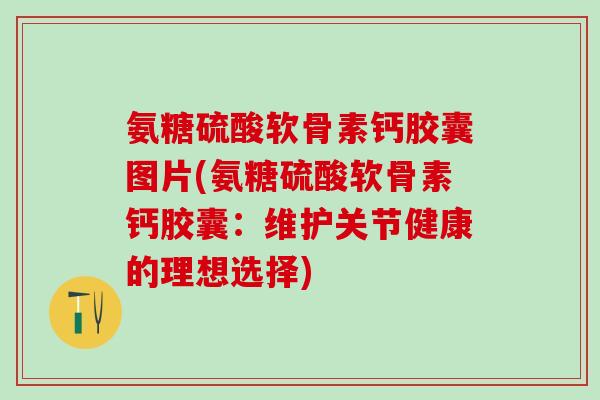 氨糖硫酸软骨素钙胶囊图片(氨糖硫酸软骨素钙胶囊:维护关节健康的理想选择) 氨糖硫酸软骨素钙胶囊图片(氨糖硫酸软骨素钙胶囊:维护关节健康的理想选择)