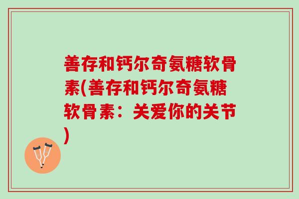善存和钙尔奇氨糖软骨素(善存和钙尔奇氨糖软骨素：关爱你的关节)