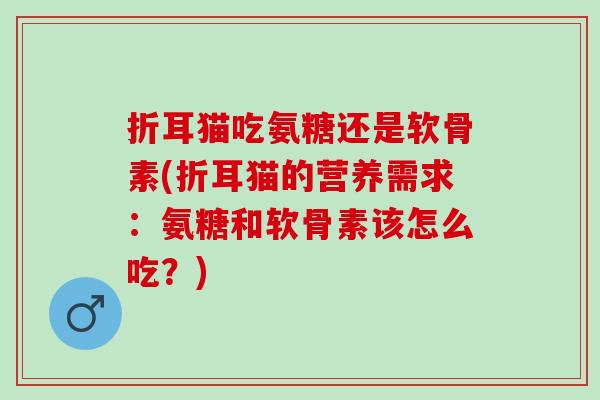 折耳猫吃氨糖还是软骨素(折耳猫的营养需求：氨糖和软骨素该怎么吃？)