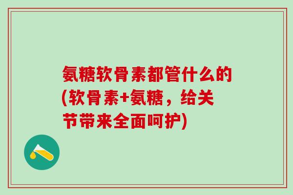 氨糖软骨素都管什么的(软骨素+氨糖，给关节带来全面呵护)