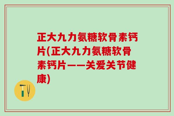 正大九力氨糖软骨素钙片(正大九力氨糖软骨素钙片——关爱关节健康)