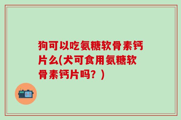 狗可以吃氨糖软骨素钙片么(犬可食用氨糖软骨素钙片吗？)