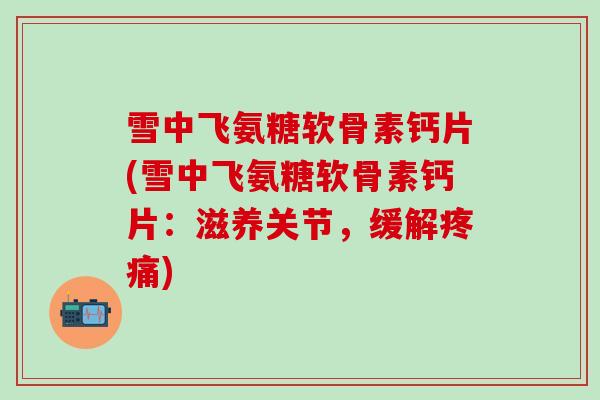 雪中飞氨糖软骨素钙片(雪中飞氨糖软骨素钙片：滋养关节，缓解)