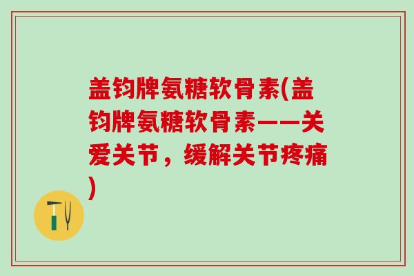 盖钧牌氨糖软骨素(盖钧牌氨糖软骨素——关爱关节，缓解关节疼痛)