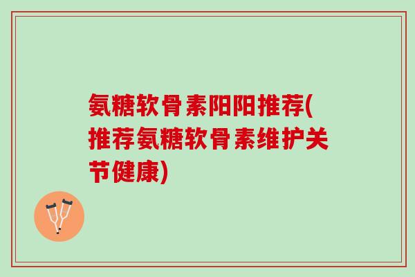 氨糖软骨素阳阳推荐(推荐氨糖软骨素维护关节健康)