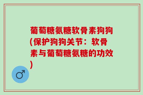 葡萄糖氨糖软骨素狗狗(保护狗狗关节：软骨素与葡萄糖氨糖的功效)