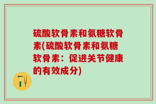 硫酸软骨素和氨糖软骨素(硫酸软骨素和氨糖软骨素：促进关节健康的有效成分)