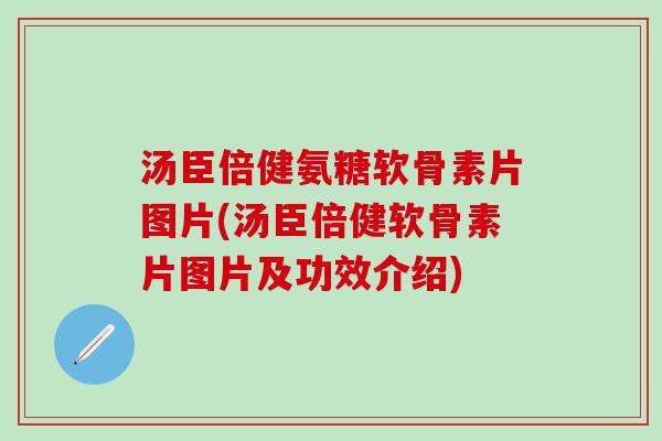 汤臣倍健氨糖软骨素片图片(汤臣倍健软骨素片图片及功效介绍)