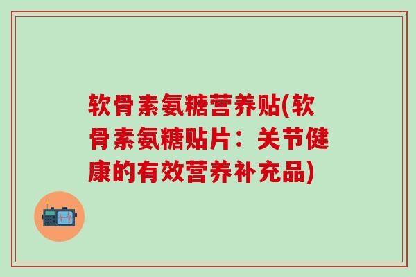 软骨素氨糖营养贴(软骨素氨糖贴片：关节健康的有效营养补充品)