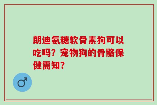 朗迪氨糖软骨素狗可以吃吗？宠物狗的骨骼保健需知？